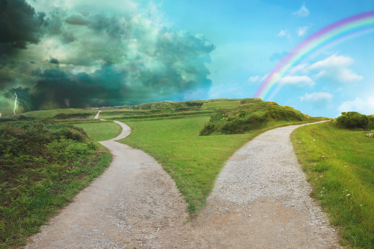 教員のキャリアの選択肢